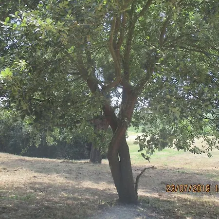 Quinta Do Caracol Nyaraló Alfeizerão