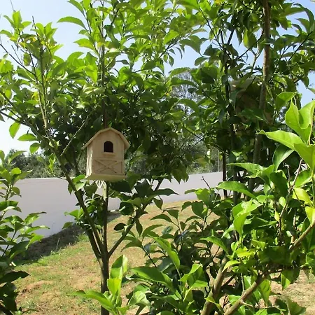 Quinta Do Caracol Nyaraló
